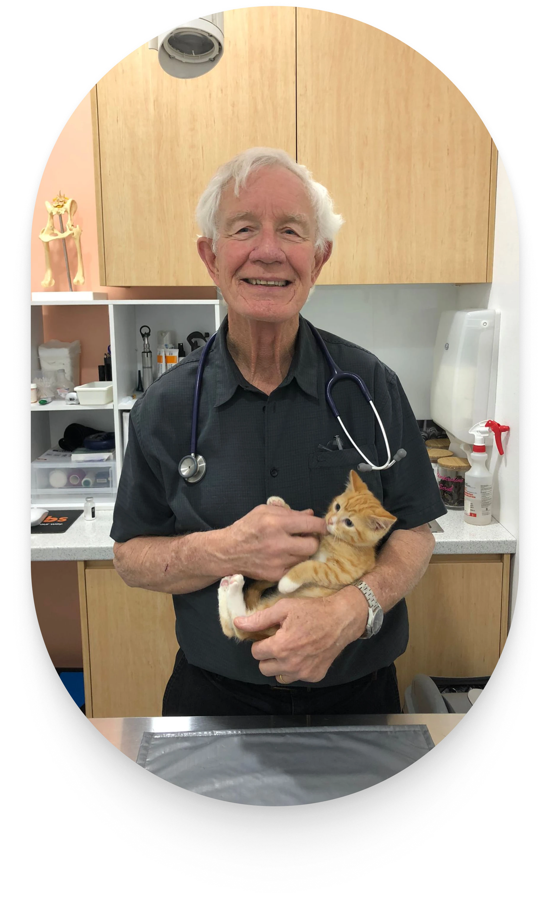 About Us Greystanes Veterinary Clinic